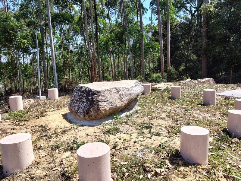 whatsapp image 2026 03 22 at 1.15.54 pm