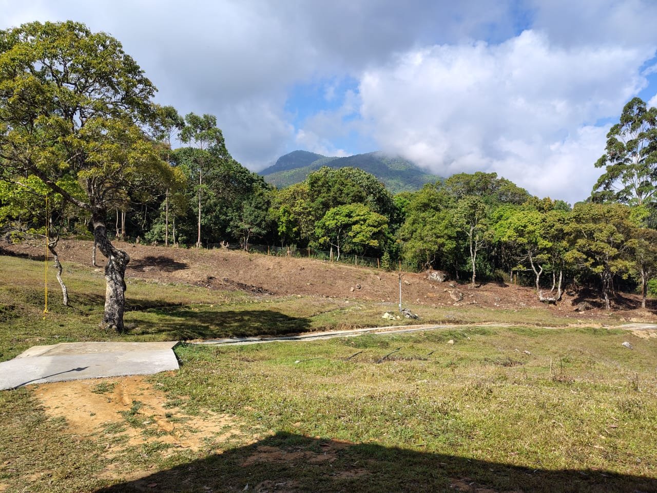 whatsapp image 2026 03 24 at 10.17.05 am