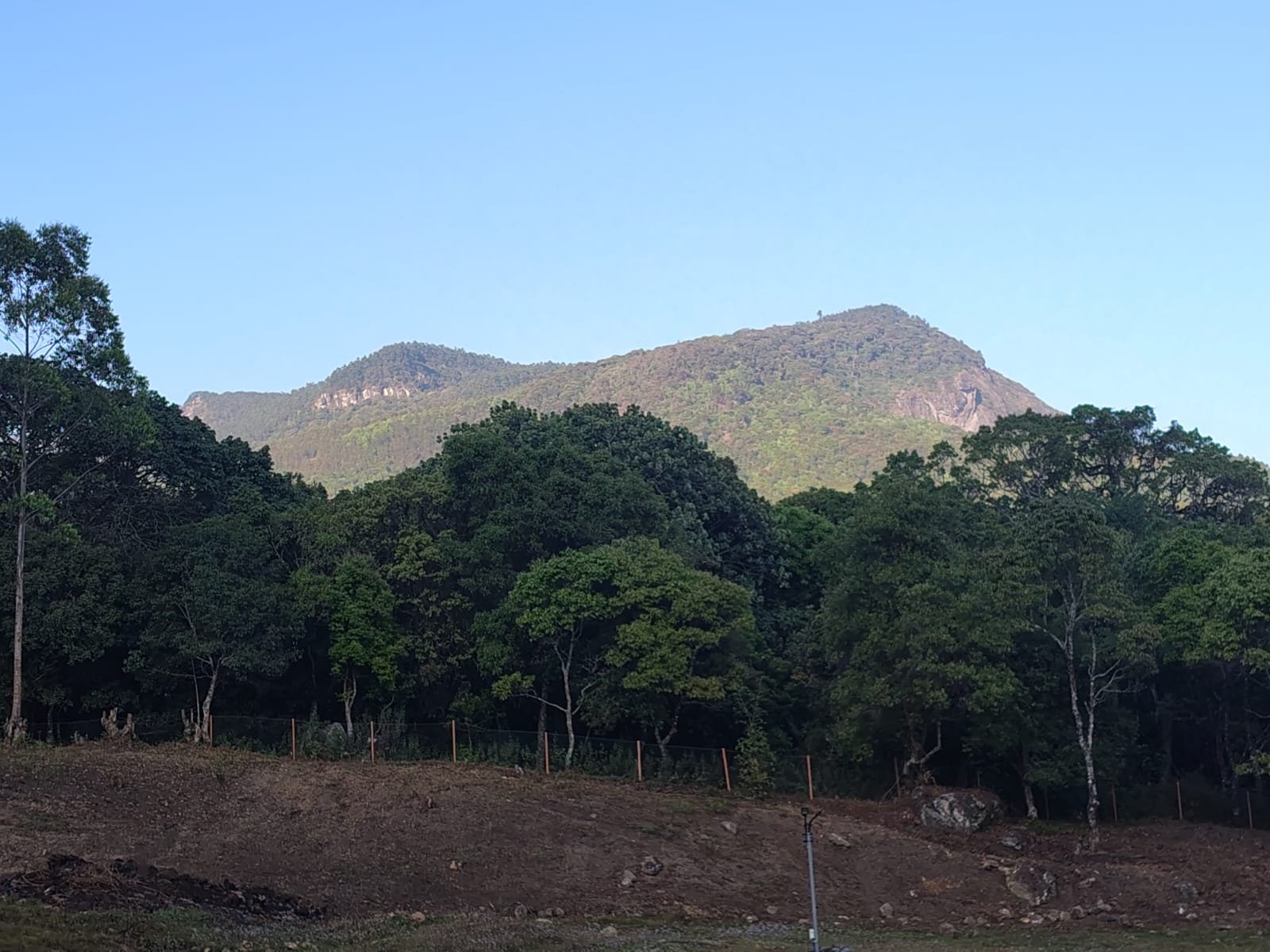 whatsapp image 2026 03 24 at 4.01.32 pm (1)