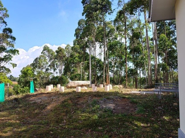 whatsapp image 2026 03 24 at 9.39.15 am (1)