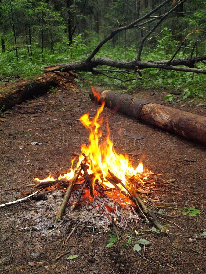 b52ed906cc86130a1e718de0f62dc5ea