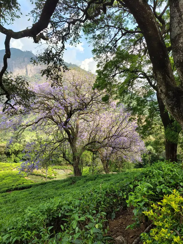 whatsapp image 2026 04 10 at 6.37.28 pm