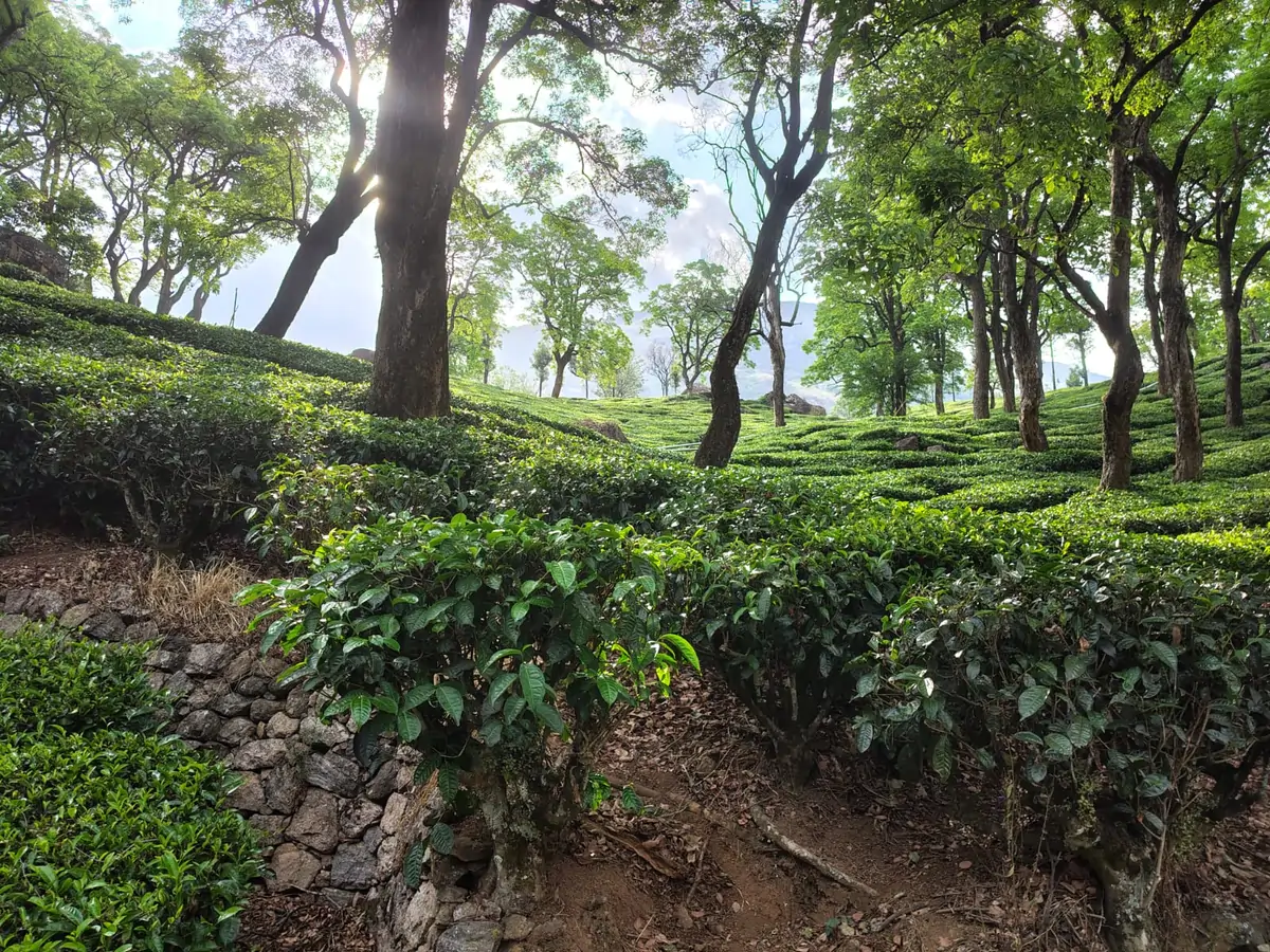 whatsapp image 2026 04 10 at 6.37.29 pm