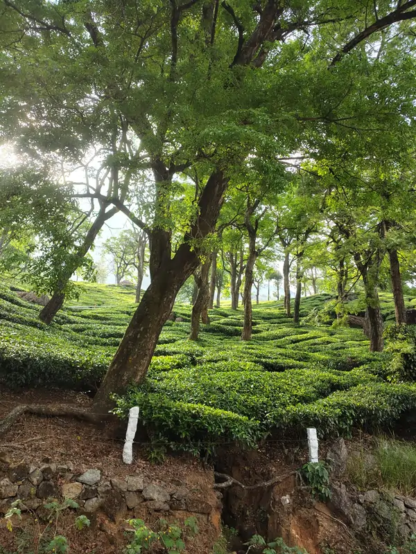 whatsapp image 2026 04 10 at 6.37.30 pm (1)