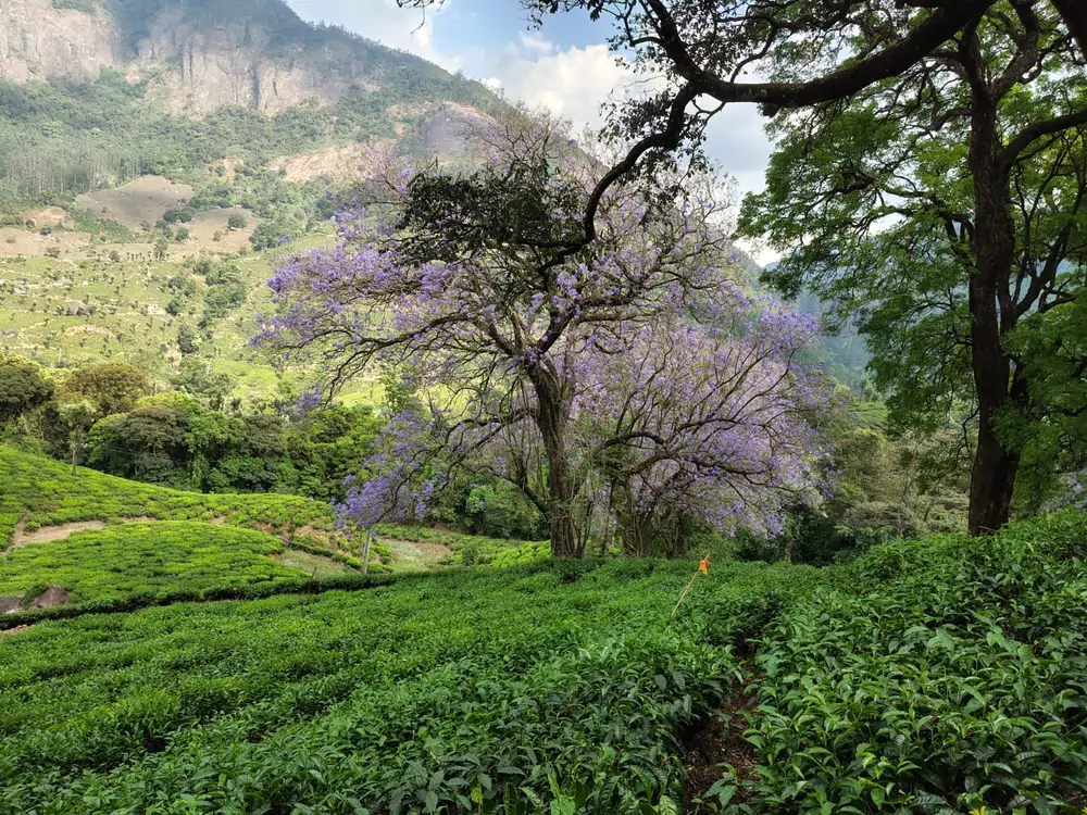 whatsapp image 2026 04 10 at 6.37.31 pm