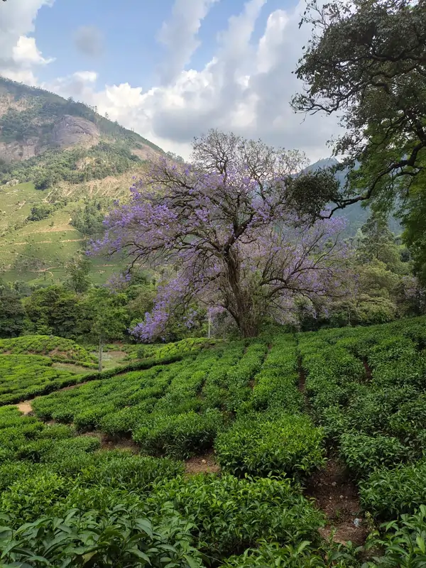 whatsapp image 2026 04 10 at 6.37.32 pm (1)