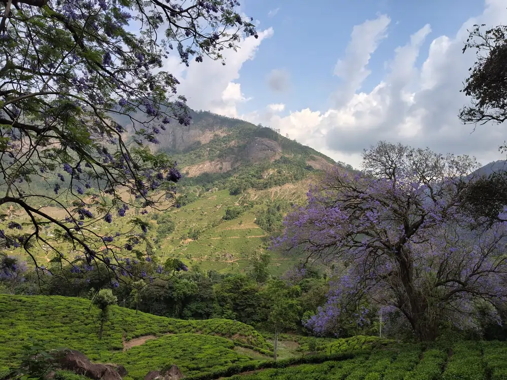 whatsapp image 2026 04 10 at 6.37.32 pm